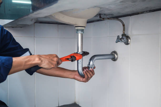 Best Local Plumber Services  in Frostproof, FL